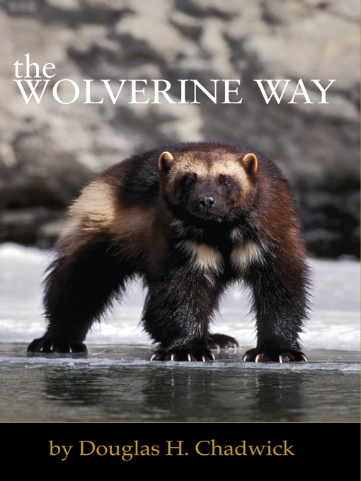 Title details for The Wolverine Way by Douglas H. Chadwick - Wait list